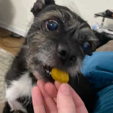 SuperChews photo review