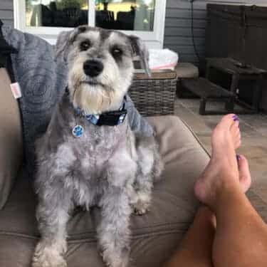 SuperChews photo review