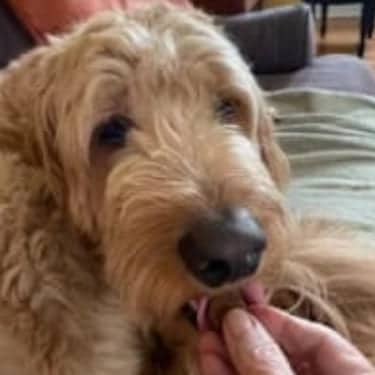 SuperChews photo review